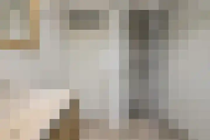 Venneweide 4 Breda thumbnail 4