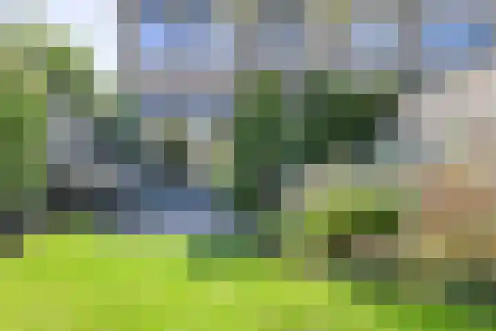 Venneweide 4 Breda thumbnail 44