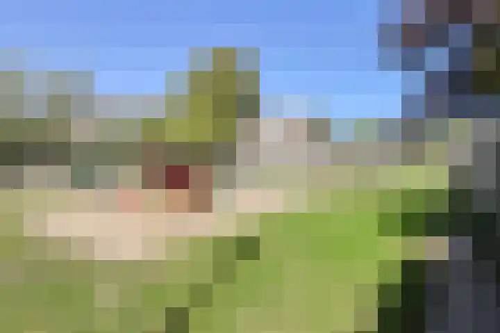 Venneweide 4 Breda thumbnail 46