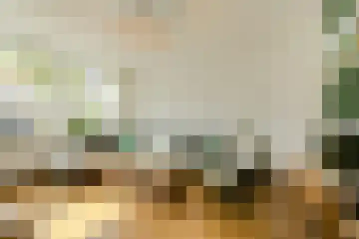 Venneweide 4 Breda thumbnail 5