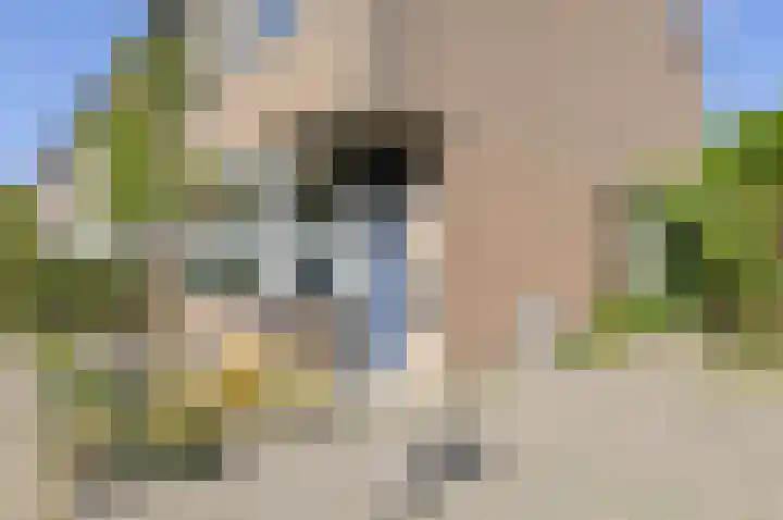 Venneweide 4 Breda thumbnail 50