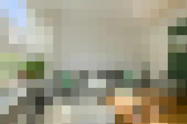 Venneweide 4 Breda thumbnail 6