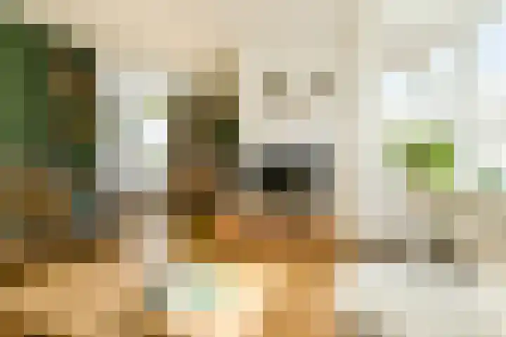 Venneweide 4 Breda thumbnail 8