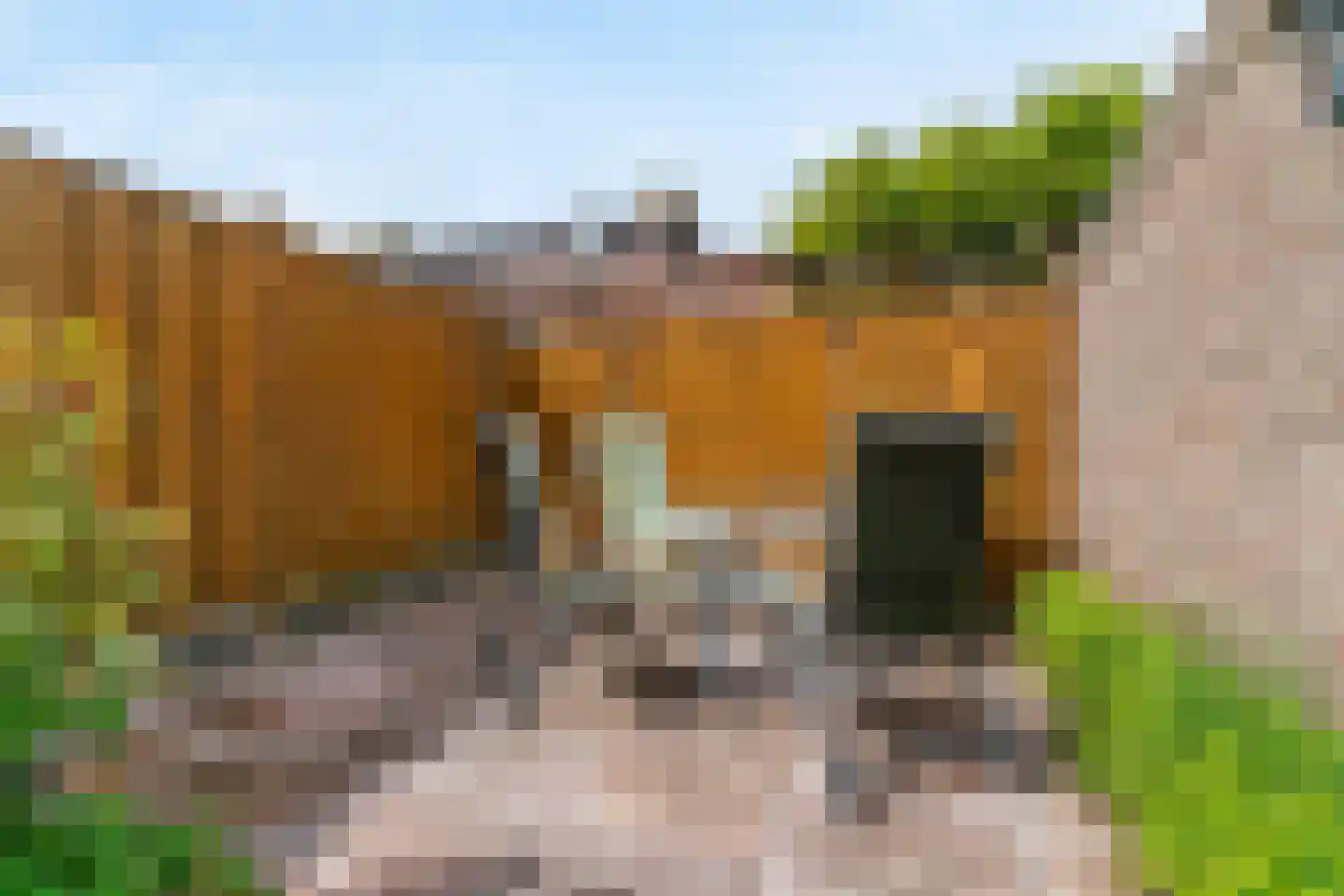 Vennicxstraat 32 Abcoude thumbnail 29