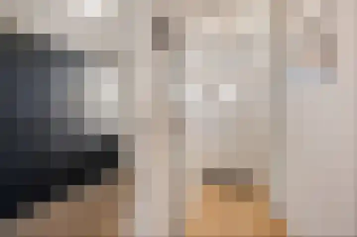 Vennipperhof 14 Hillegom thumbnail 19