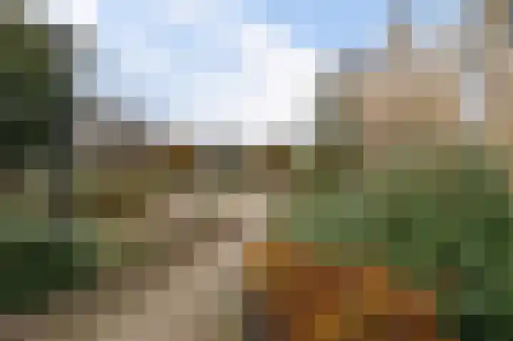 Vennipperhof 14 Hillegom thumbnail 33