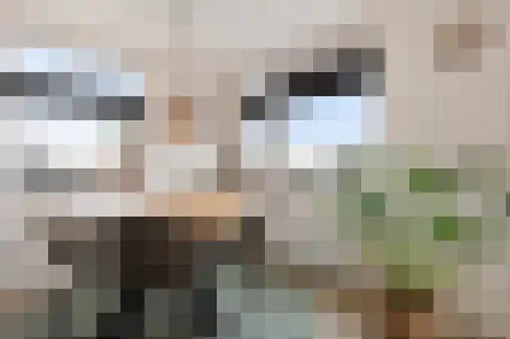 Vennipperhof 14 Hillegom thumbnail 9