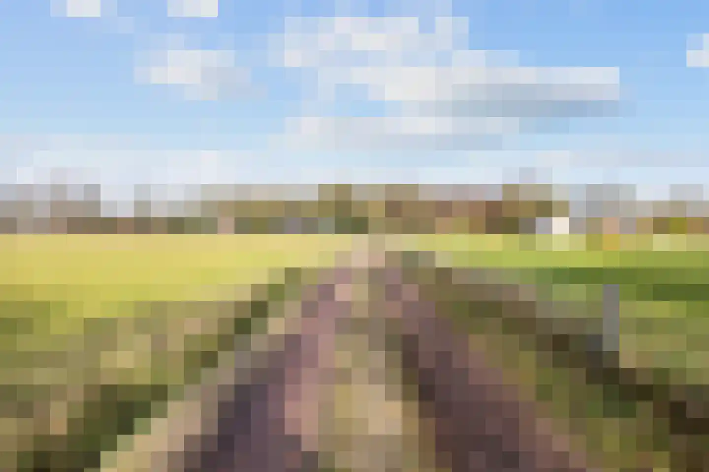 Vennootsweg 21 Een-West thumbnail 10