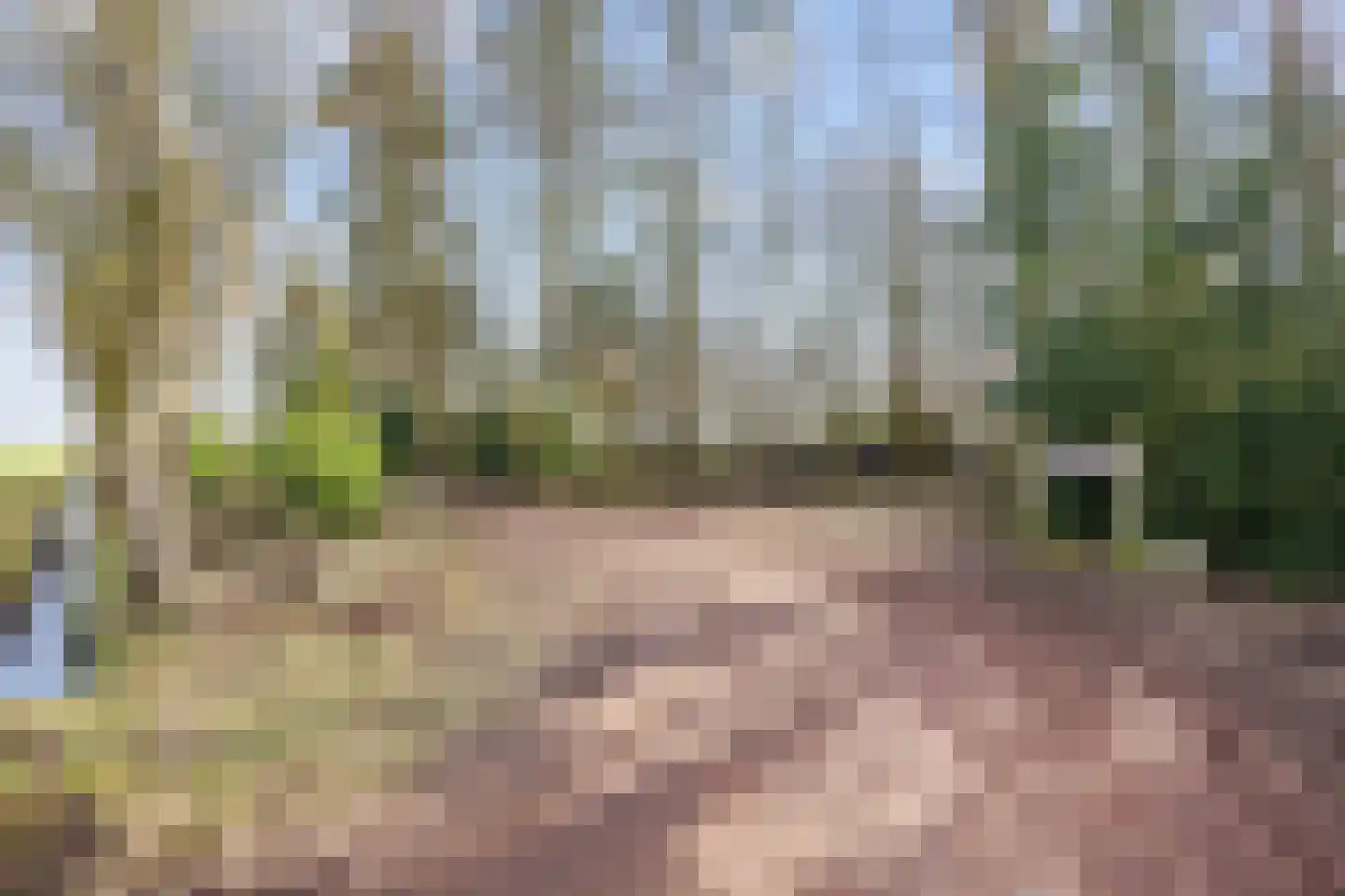 Vennootsweg 21 Een-West thumbnail 11