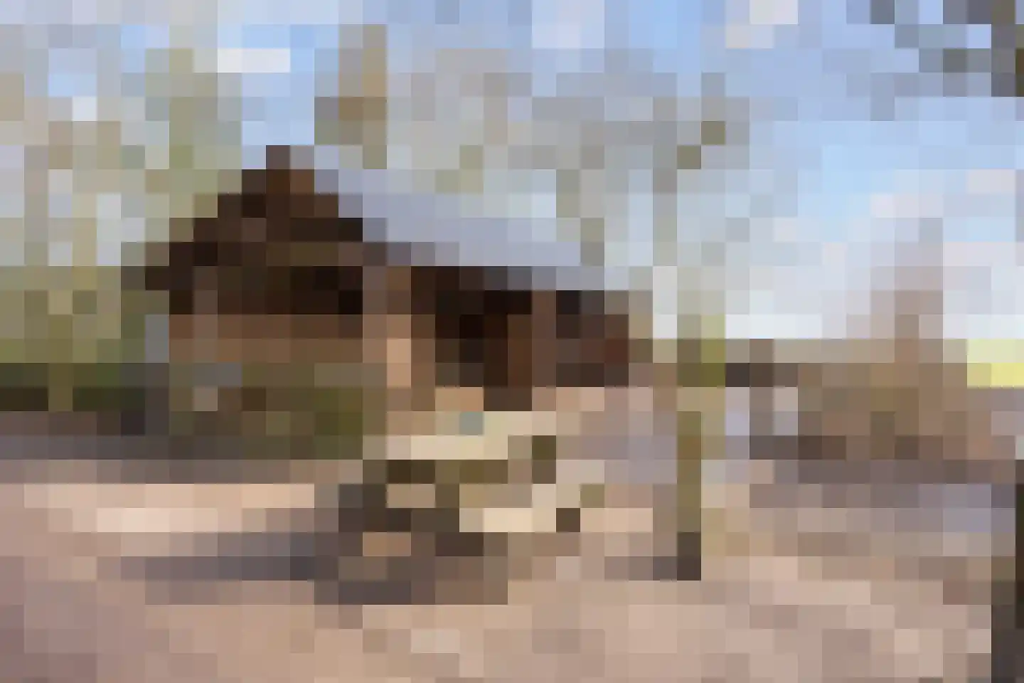 Vennootsweg 21 Een-West thumbnail 13