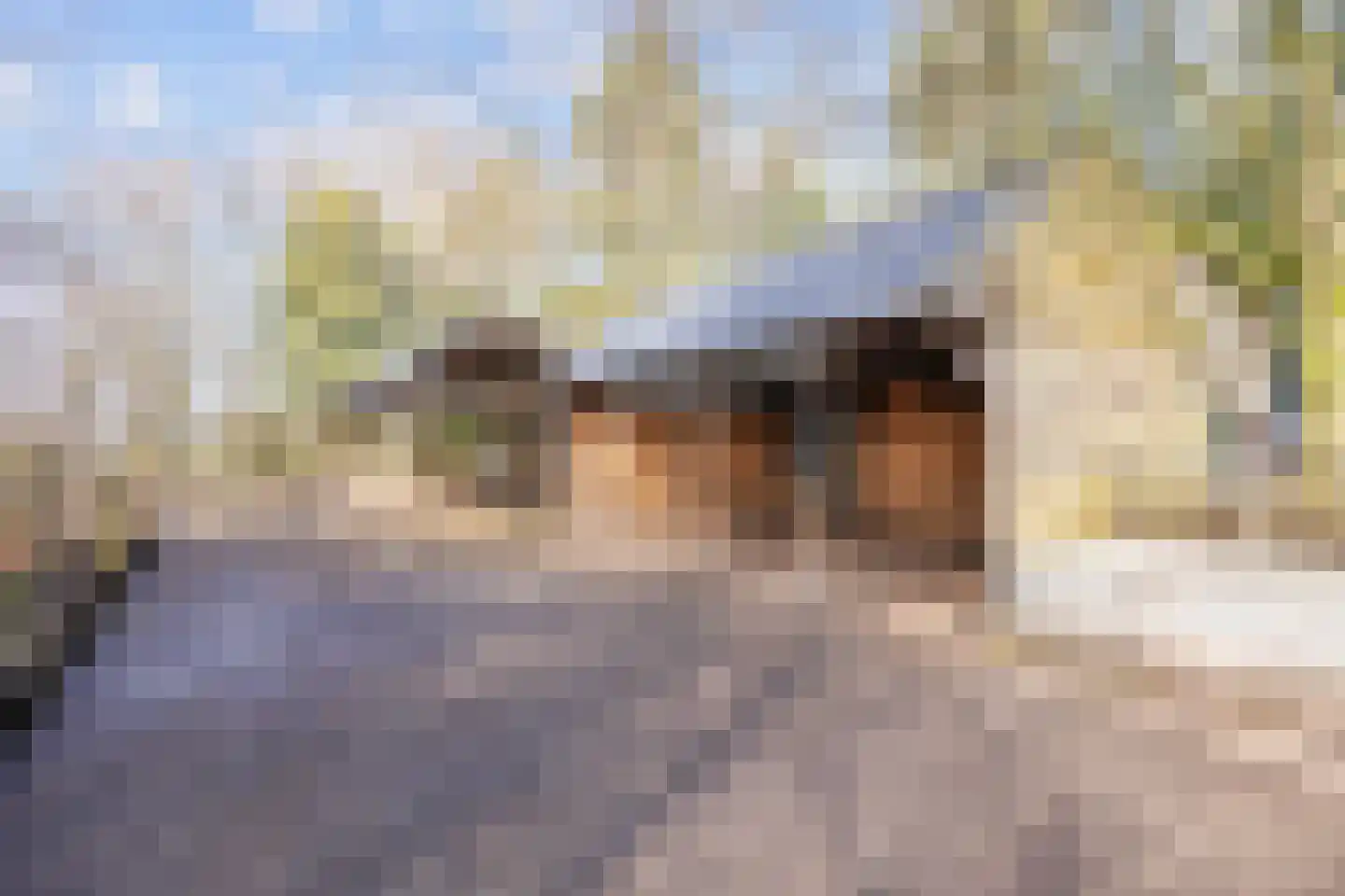 Vennootsweg 21 Een-West thumbnail 15