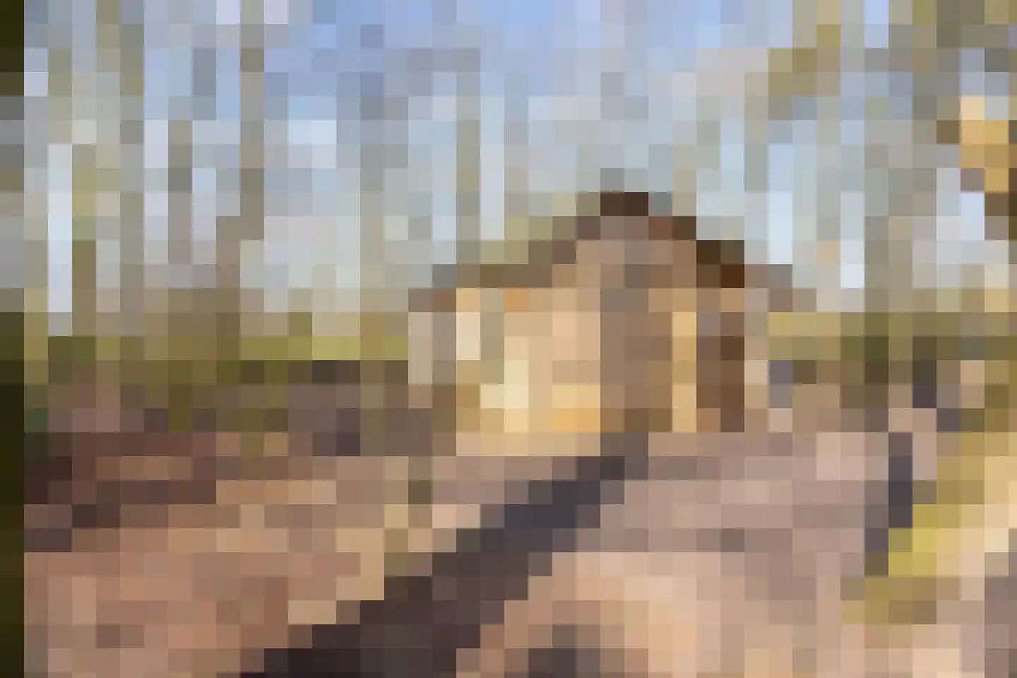Vennootsweg 21 Een-West thumbnail 16