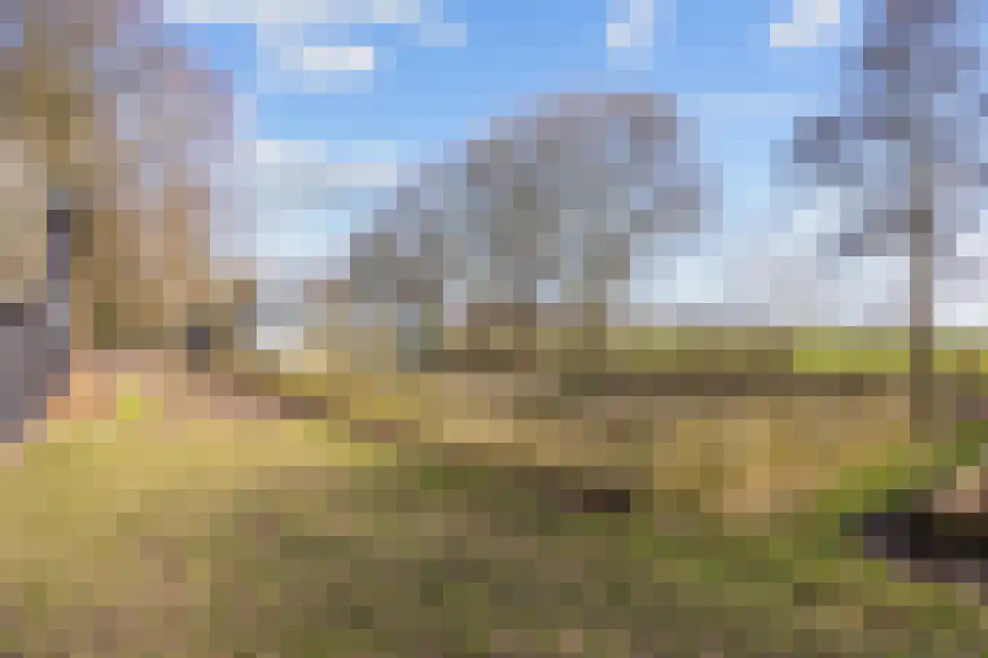 Vennootsweg 21 Een-West thumbnail 21