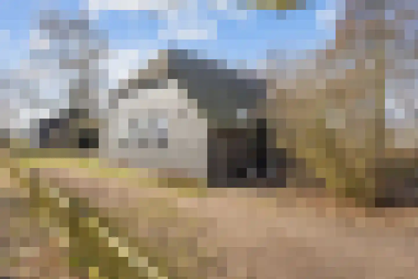 Vennootsweg 21 Een-West thumbnail 24
