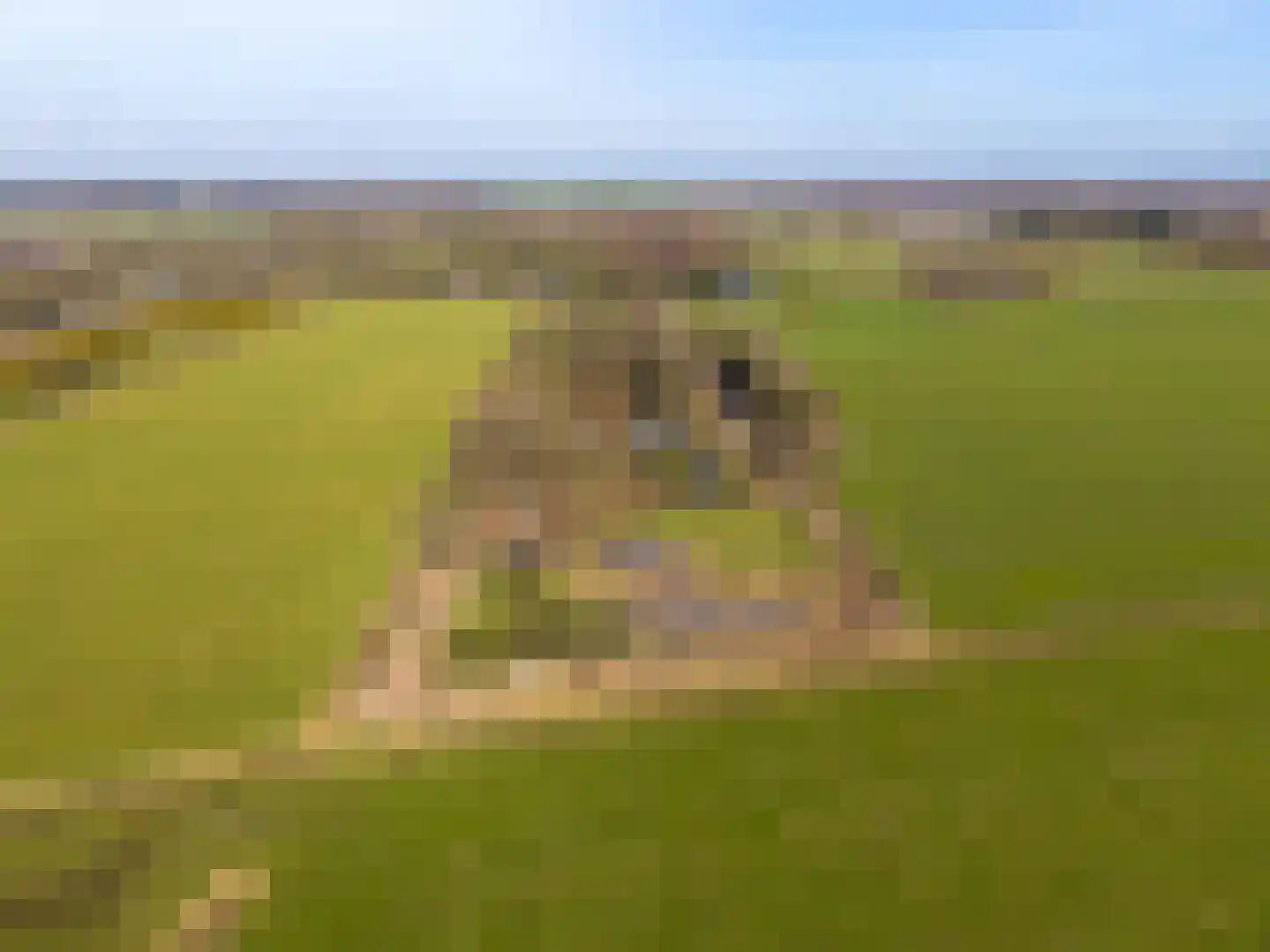 Vennootsweg 21 Een-West thumbnail 7