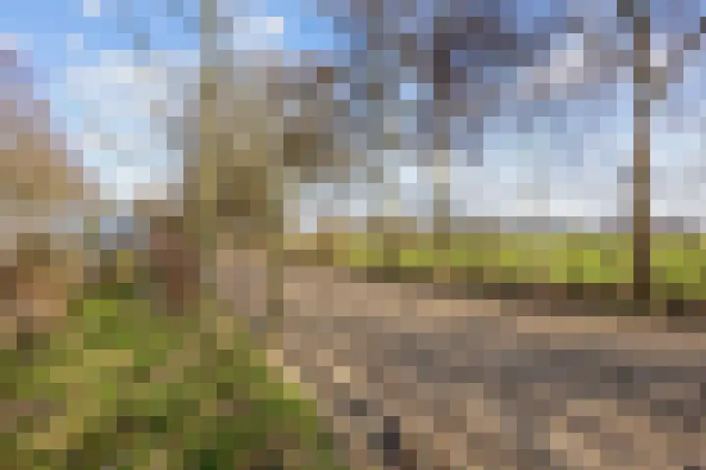 Vennootsweg 21 Een-West thumbnail 70
