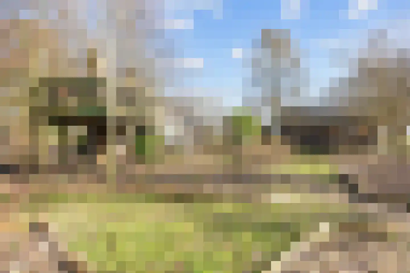 Vennootsweg 21 Een-West thumbnail 74