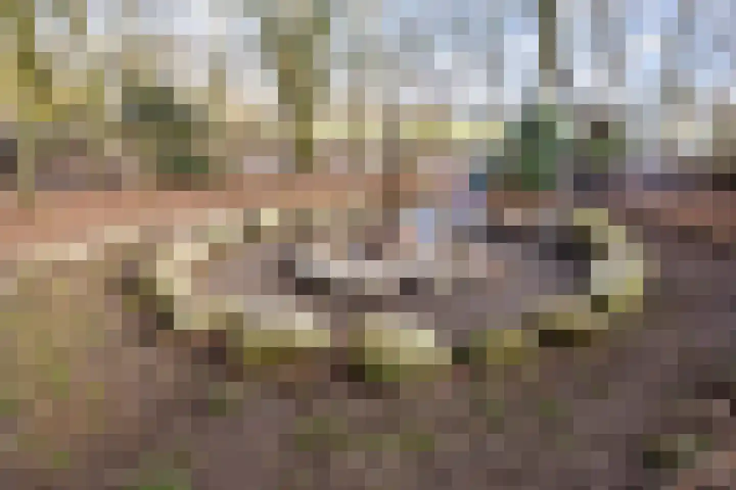Vennootsweg 21 Een-West thumbnail 76