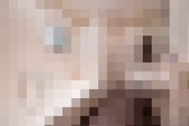 Venraysbroek 1 Venray thumbnail 25