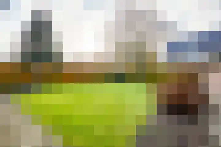 Venraysbroek 1 Venray thumbnail 45