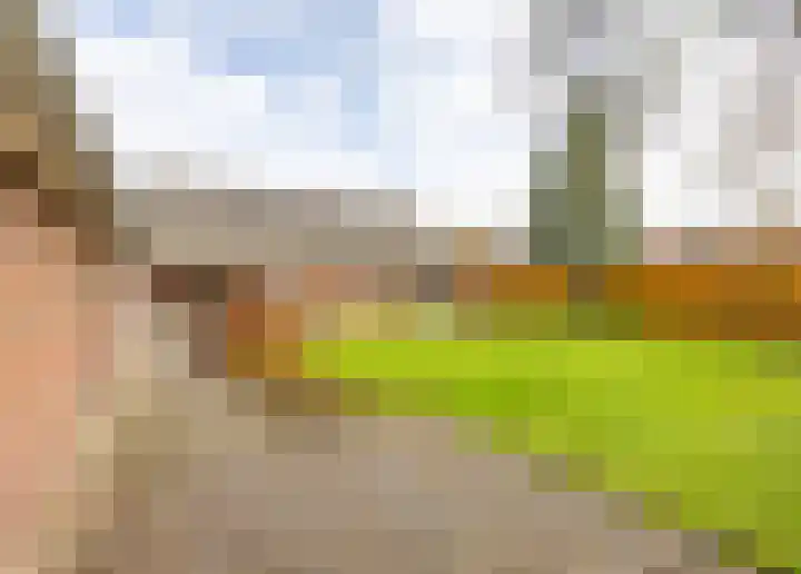 Venraysbroek 1 Venray thumbnail 46
