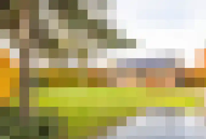 Venraysbroek 1 Venray thumbnail 47