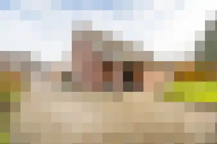 Venraysbroek 1 Venray thumbnail 49
