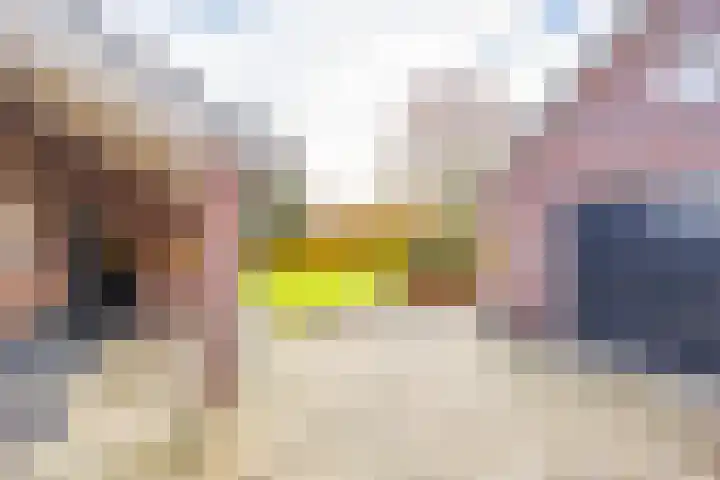 Venraysbroek 1 Venray thumbnail 50