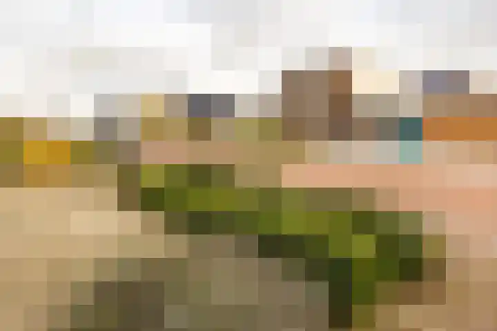 Venraysbroek 1 Venray thumbnail 53
