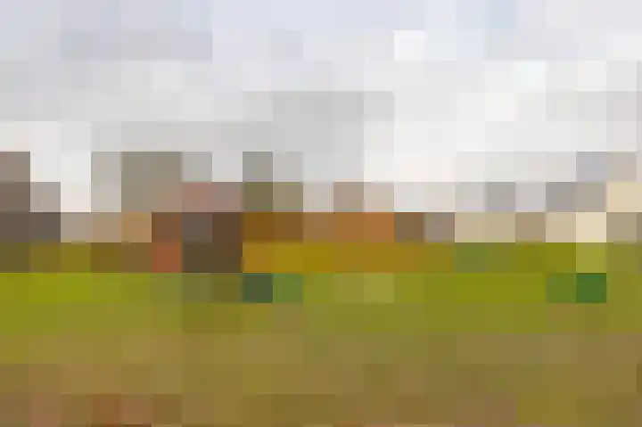 Venraysbroek 1 Venray thumbnail 54
