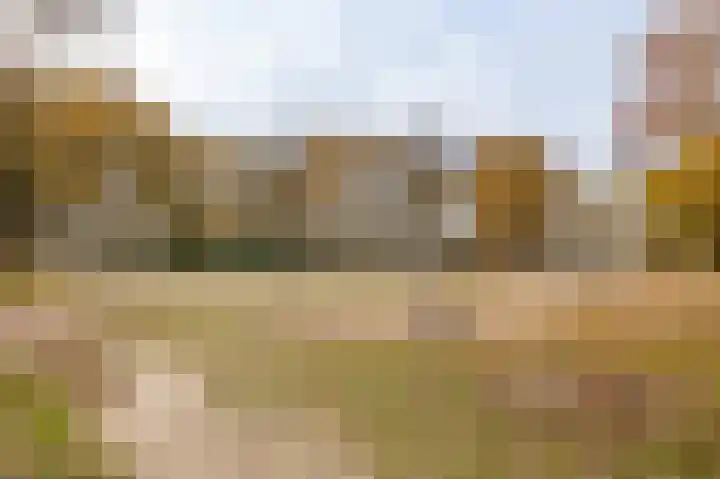 Venraysbroek 1 Venray thumbnail 55