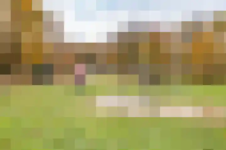 Venraysbroek 1 Venray thumbnail 56