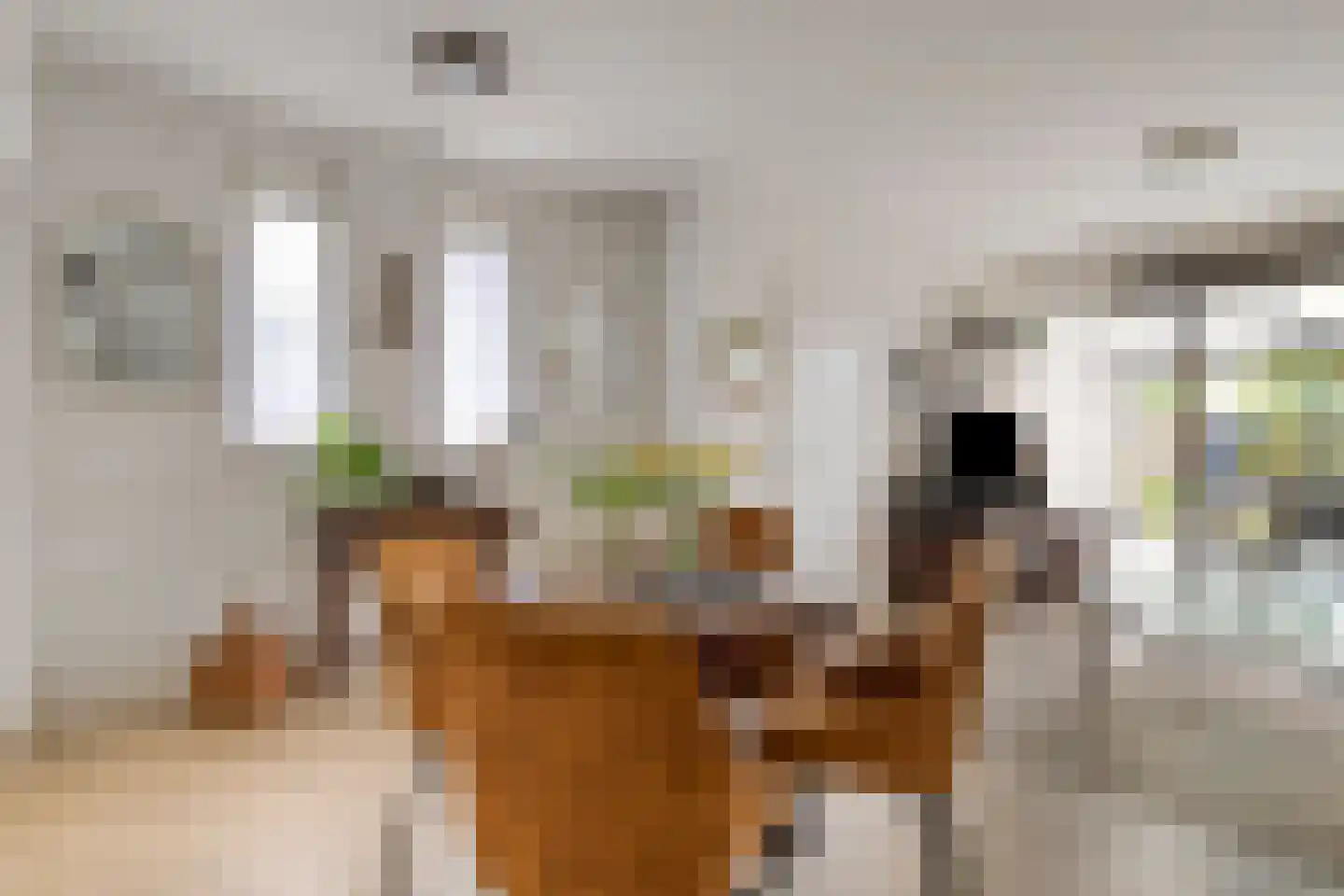 Venrayseweg 1 A Wanssum thumbnail 10
