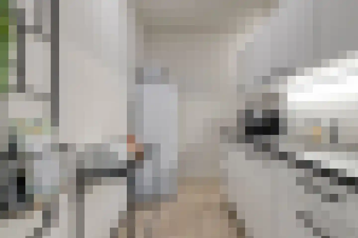 Venrayseweg 1 A Wanssum thumbnail 11