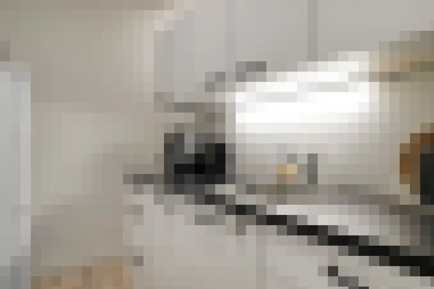 Venrayseweg 1 A Wanssum thumbnail 12