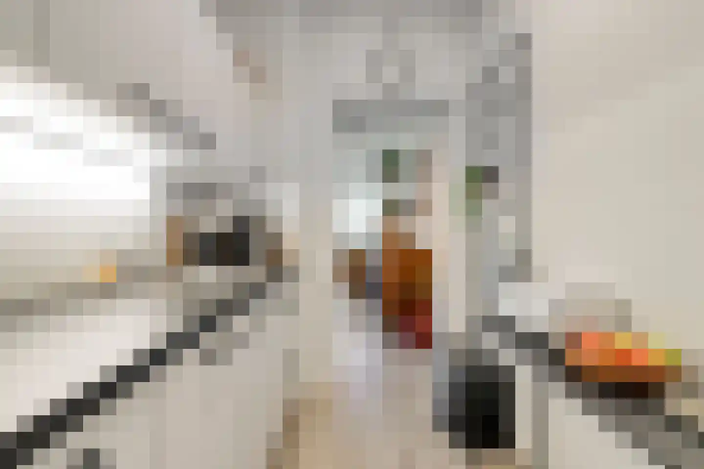 Venrayseweg 1 A Wanssum thumbnail 13