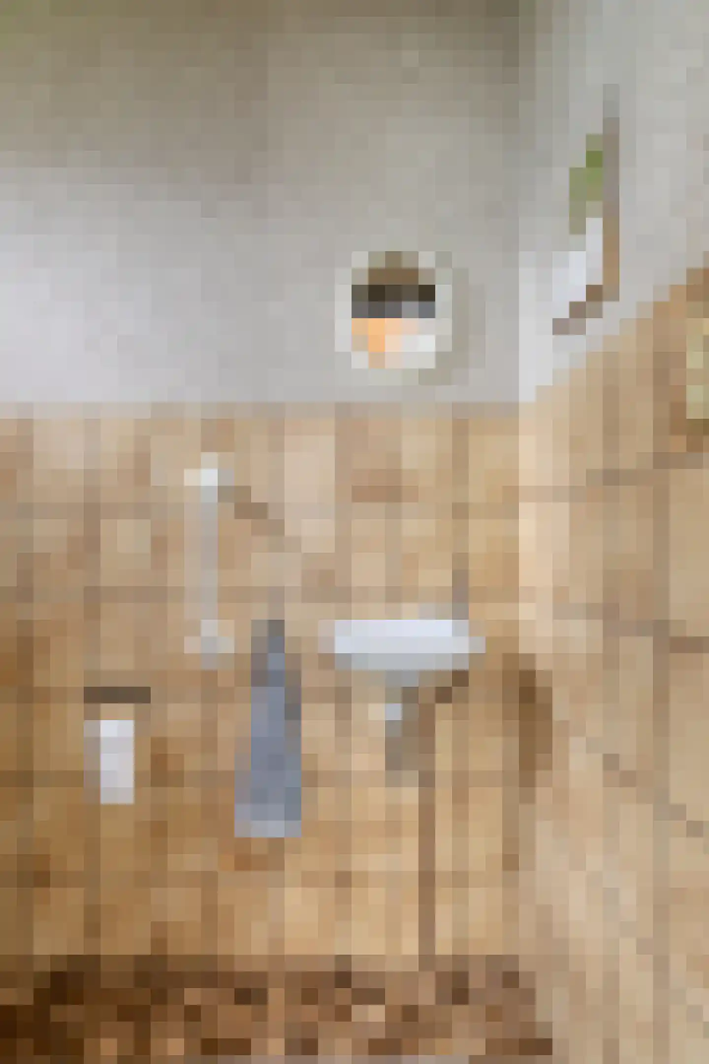 Venrayseweg 1 A Wanssum thumbnail 21