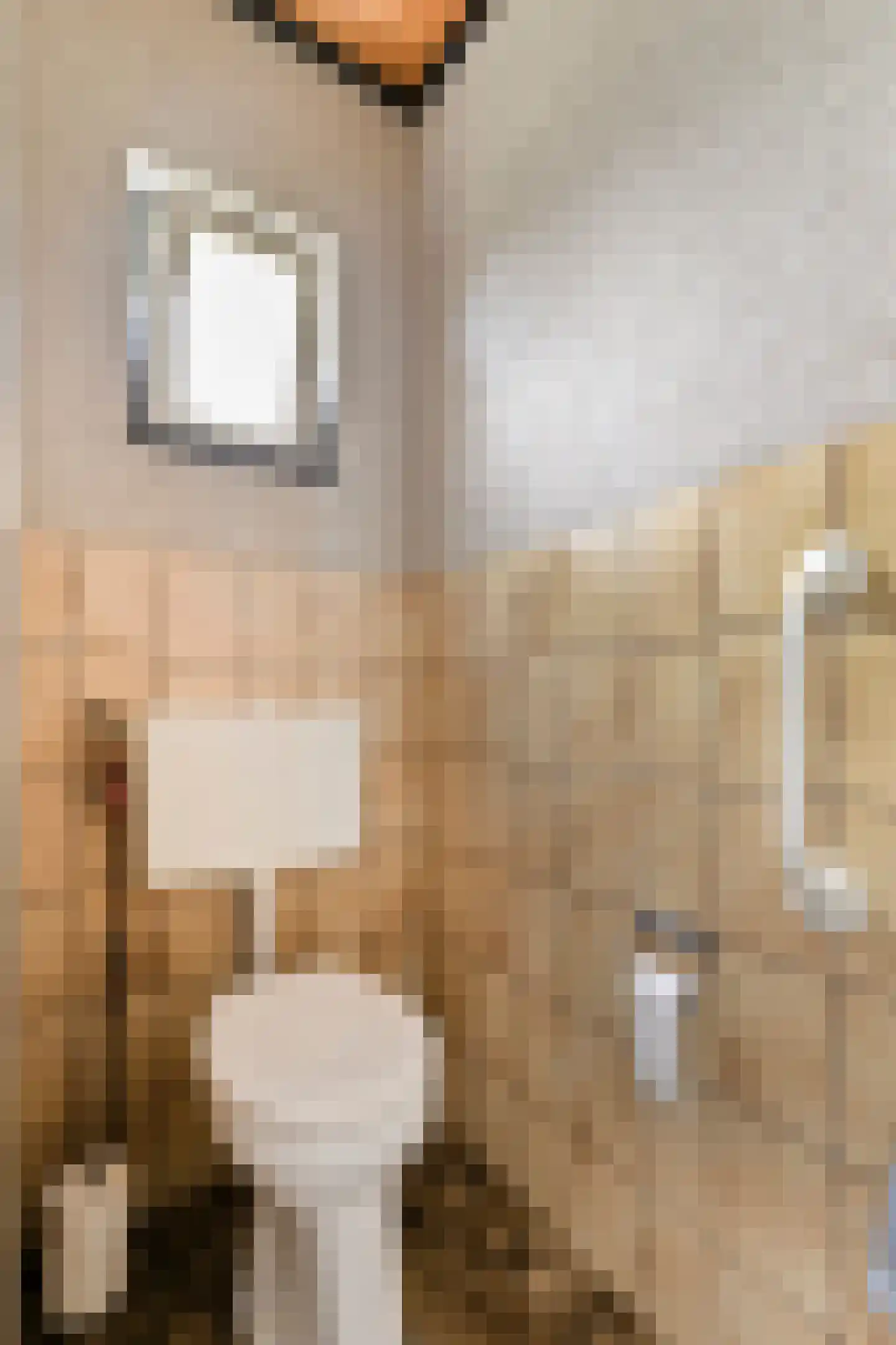 Venrayseweg 1 A Wanssum thumbnail 22