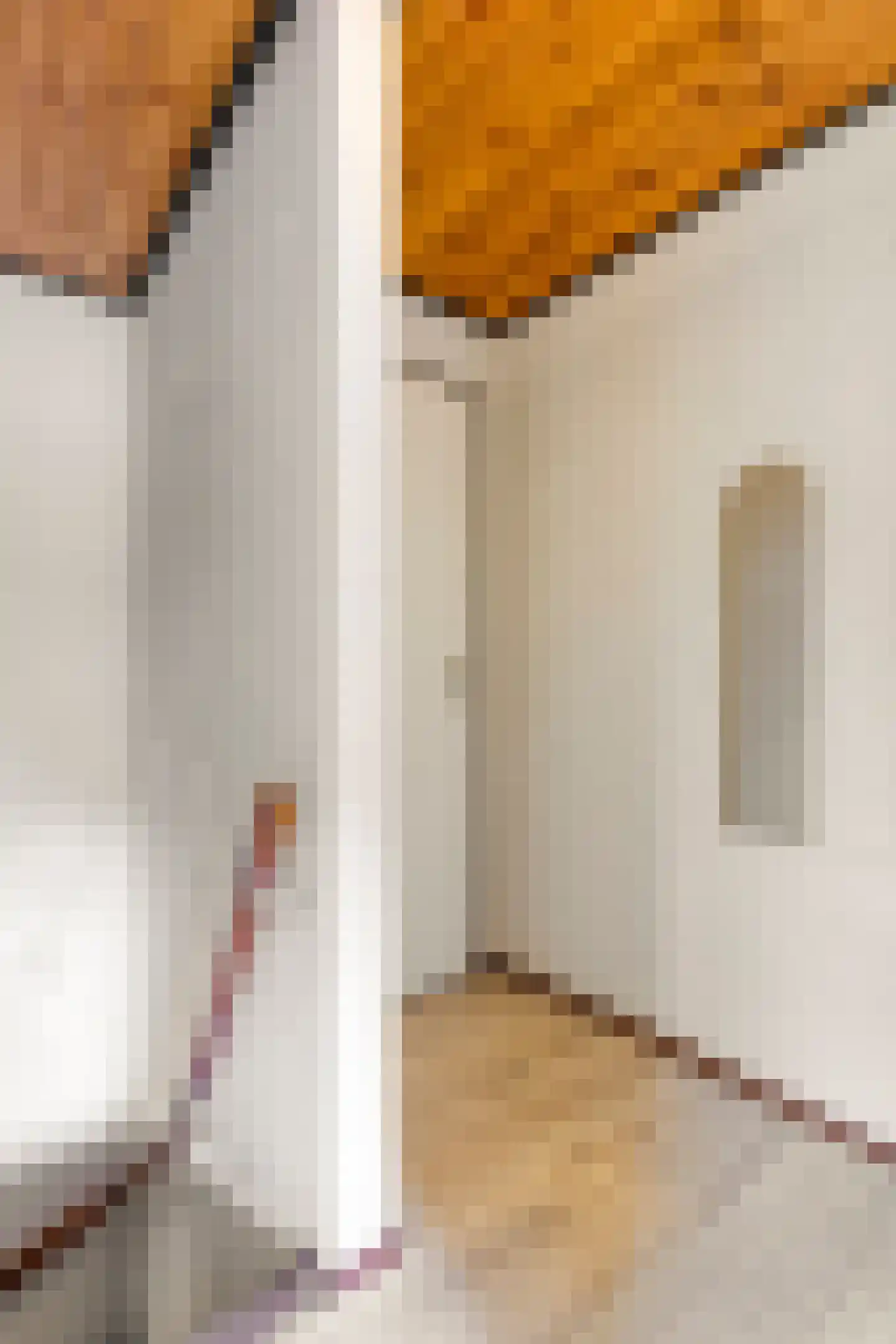 Venrayseweg 1 A Wanssum thumbnail 24