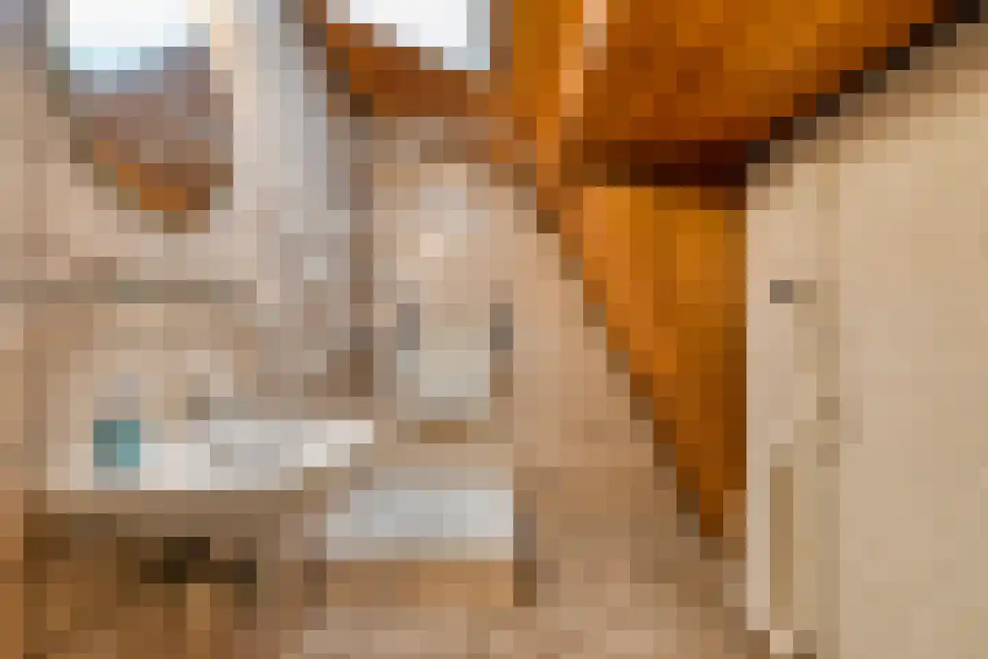 Venrayseweg 1 A Wanssum thumbnail 26