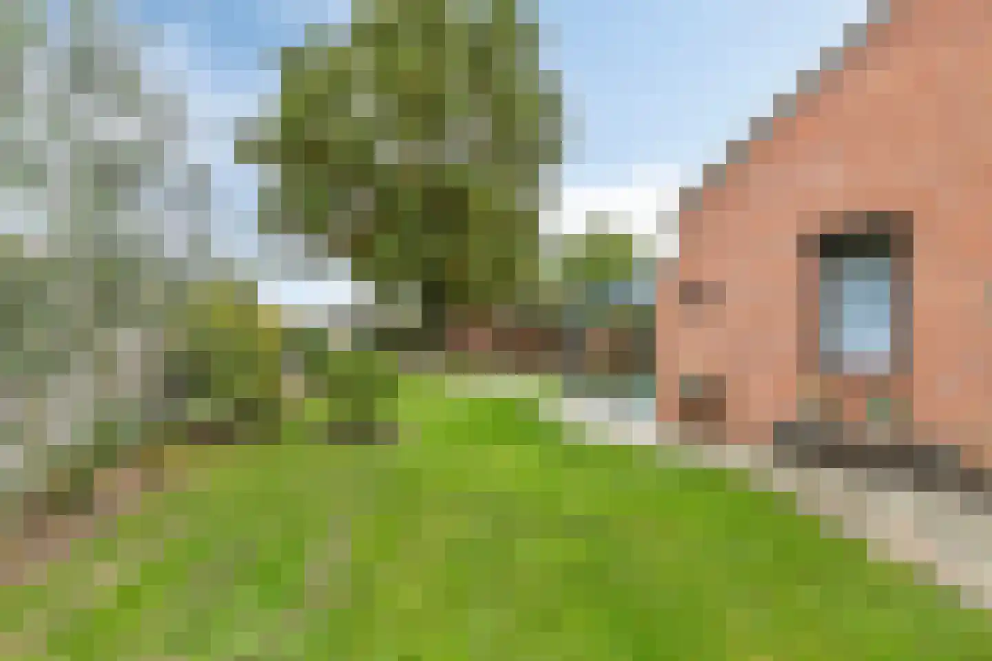 Venrayseweg 1 A Wanssum thumbnail 38