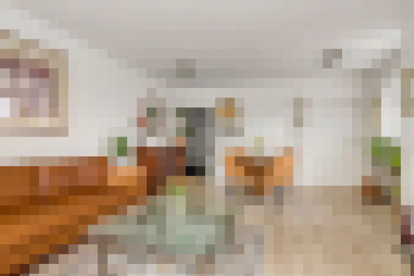 Venrayseweg 1 A Wanssum thumbnail 7