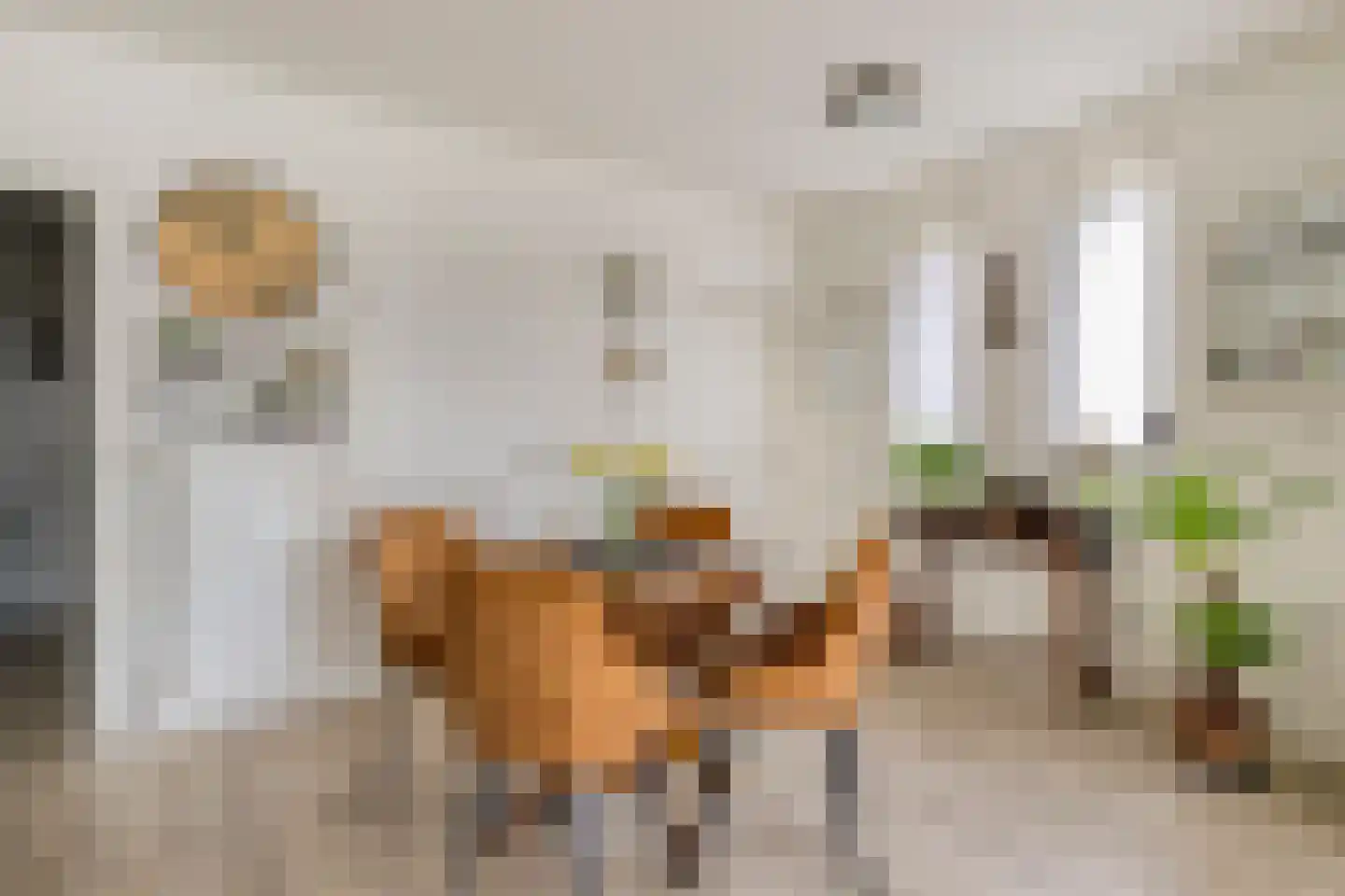 Venrayseweg 1 A Wanssum thumbnail 9