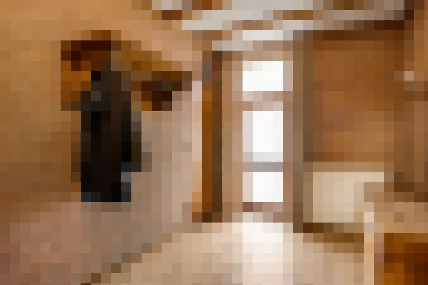 Venrayseweg 123 a Horst thumbnail 10