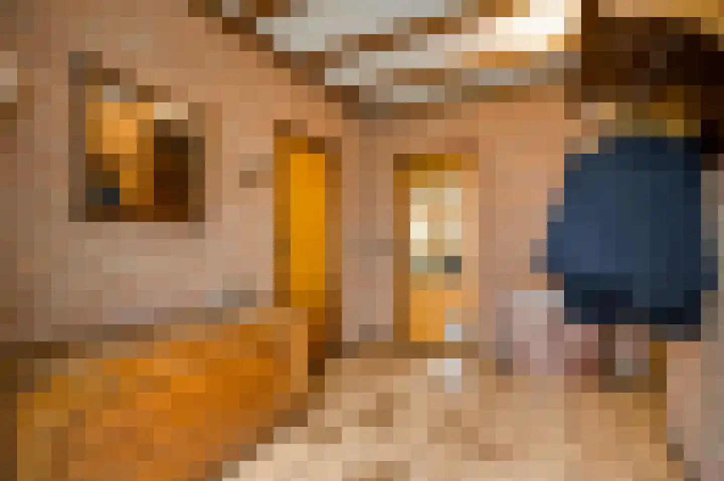 Venrayseweg 123 a Horst thumbnail 11