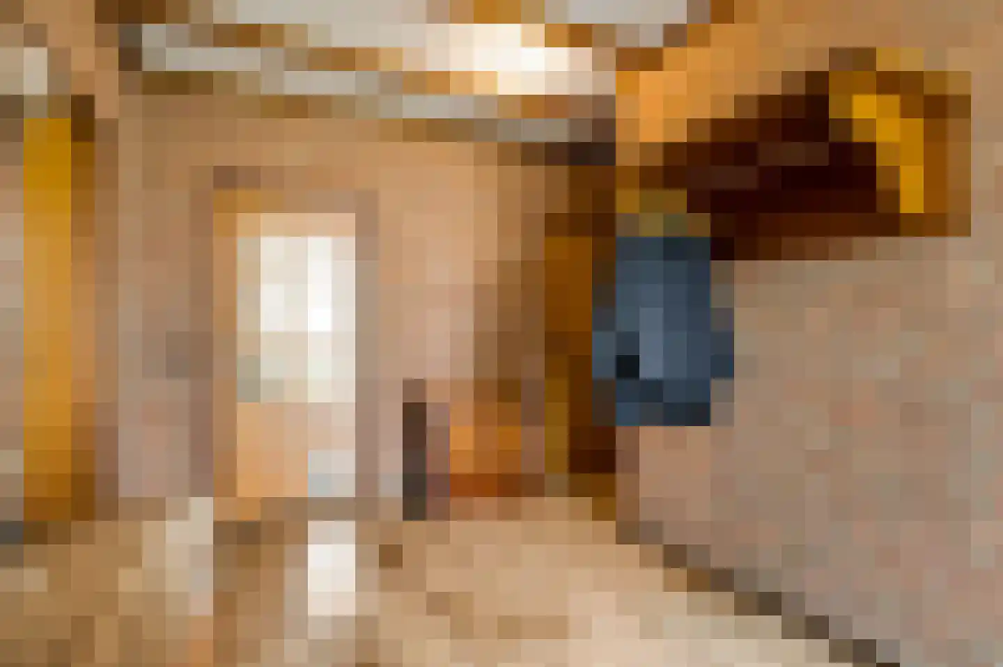 Venrayseweg 123 a Horst thumbnail 12