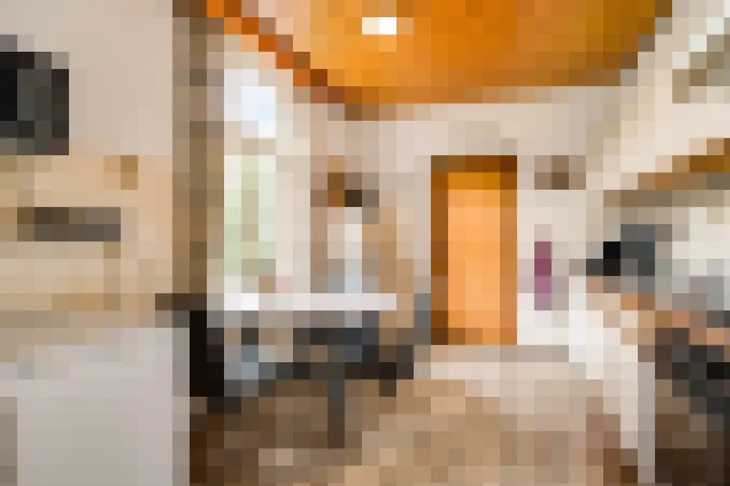 Venrayseweg 123 a Horst thumbnail 20