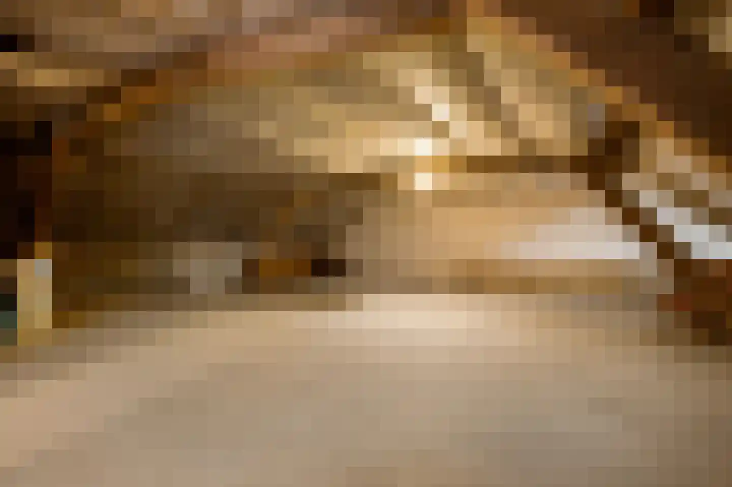Venrayseweg 123 a Horst thumbnail 37