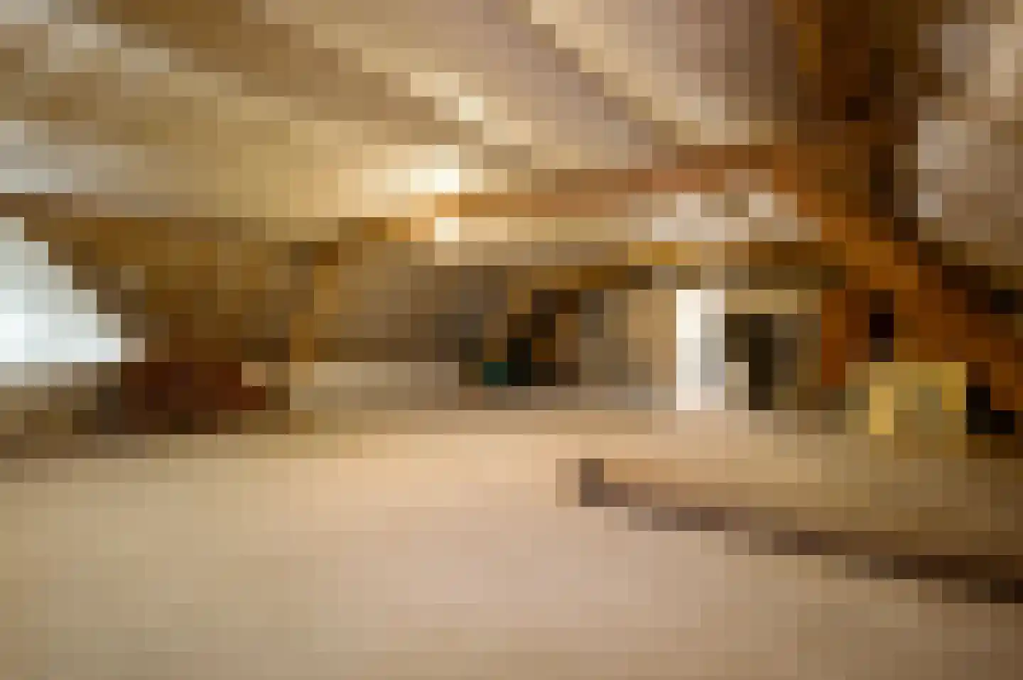 Venrayseweg 123 a Horst thumbnail 38