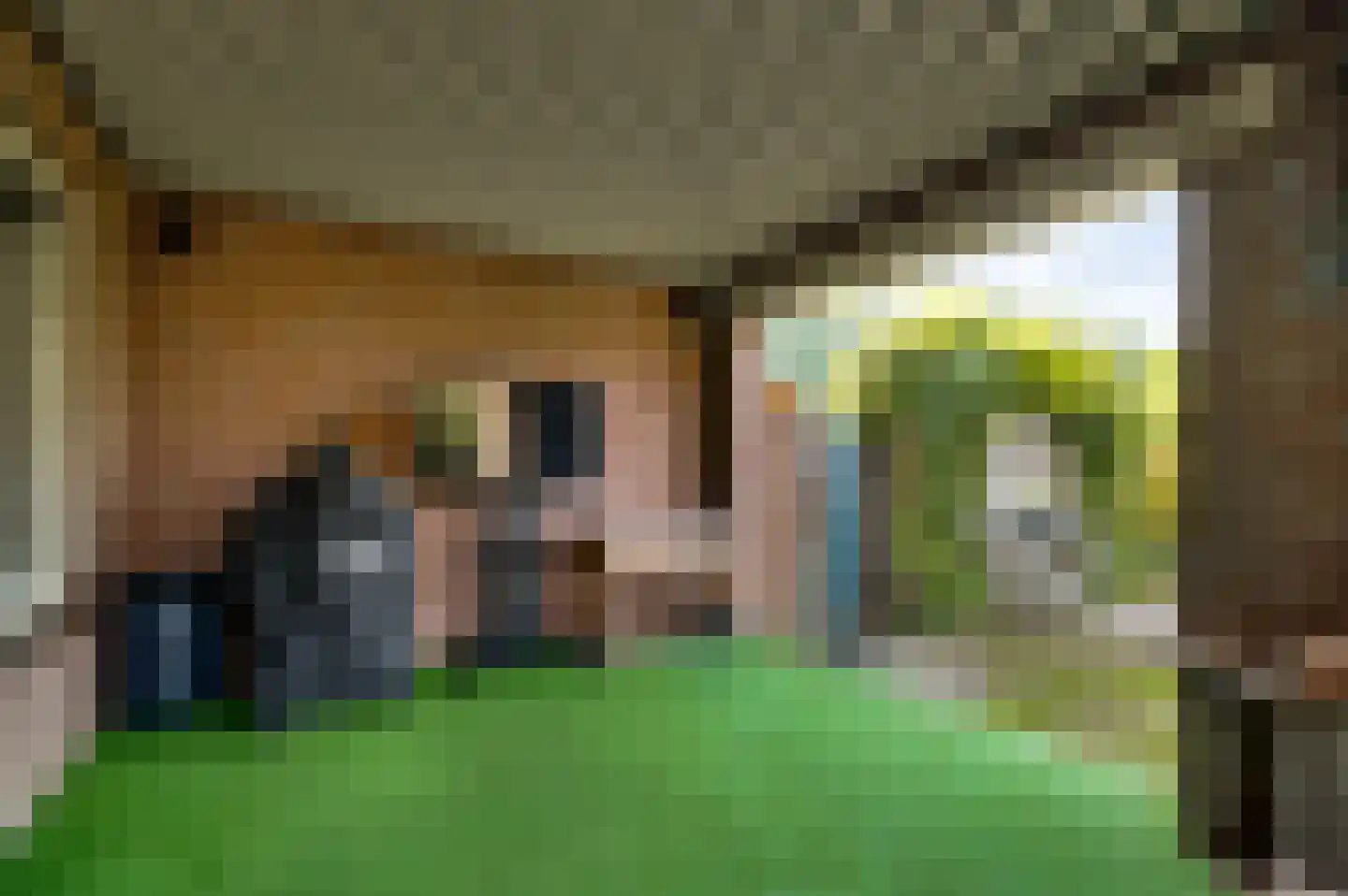Venrayseweg 123 a Horst thumbnail 43